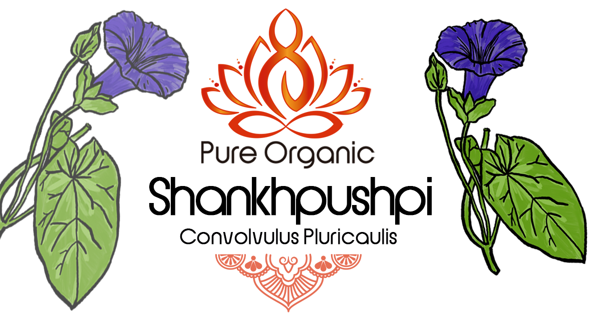 Shankhpushpi – Pure Organic Henna
