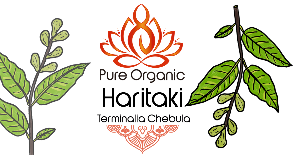 Haritaki – Pure Organic Henna
